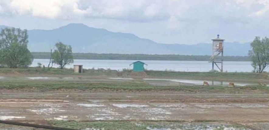 সংঘর্ষের মুখে বাংলাদেশে পালিয়ে আসা মিয়ানমারের অর্ধ শতাধিক আটক  