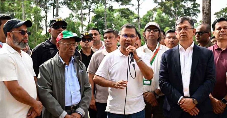 আসুন আমাদের সন্তানদের বুক ভরে শ্বাস নিতে একটি করে গাছ লাগাই: প্রধানমন্ত্রী  