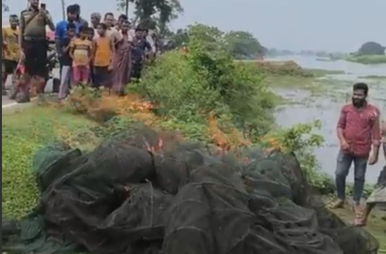 কেন্দুয়ায় অবৈধ চায়না দুয়ারী জাল পুড়িয়ে দিয়েছে প্রশাসন