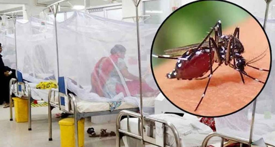 ডেঙ্গুতে এবার একদিনে ৫ জনের মৃত্যু, হাসপাতালে ১২৪   