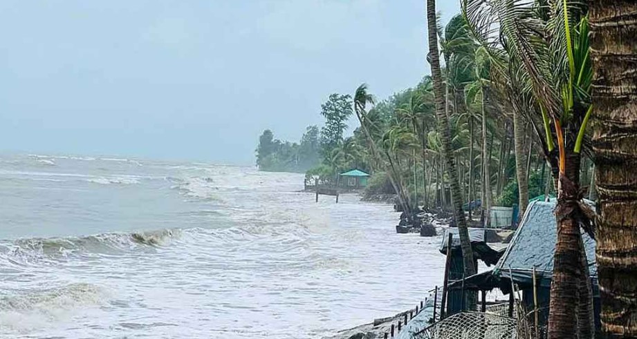 ছবি সংগৃহীত   