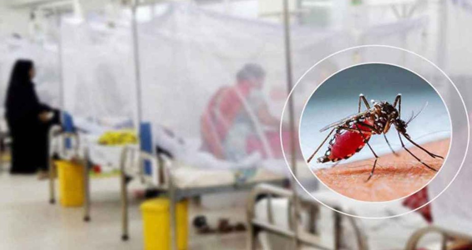 ২৪ ঘণ্টায় ডেঙ্গুতে আরও ৩ জনের মৃত্যু, হাসপাতালে ৪৫৮ 
