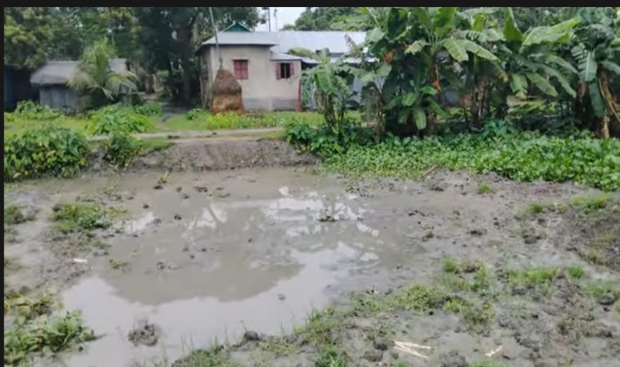 কেন্দুয়ায় গ্রামীণ সড়ক কেটে ফেলার অভিযোগ উঠেছে শরীফ হাসান ভূঁঞার বিরুদ্ধে 