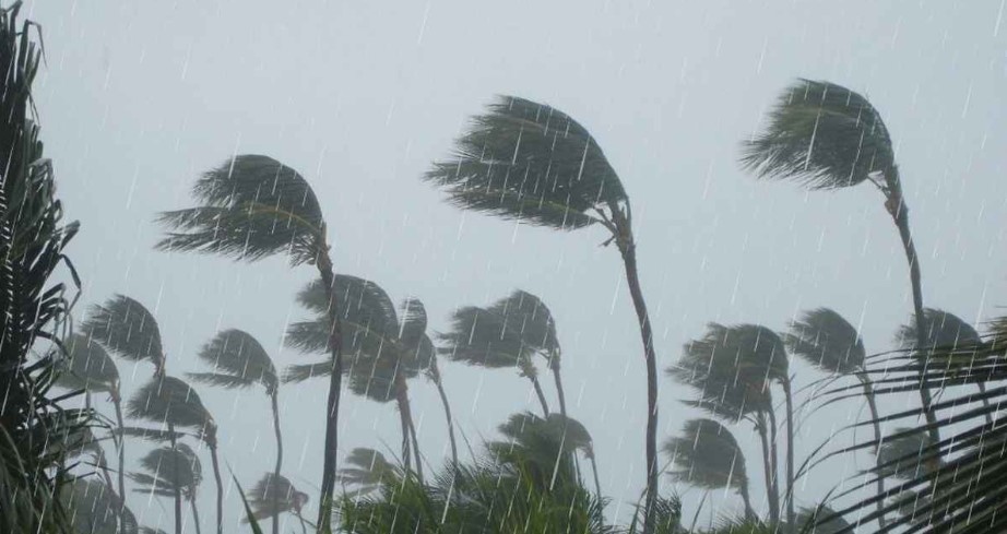 দুপুরের মধ্যে ঢাকায় বজ্রসহ বৃষ্টির আশঙ্কা  