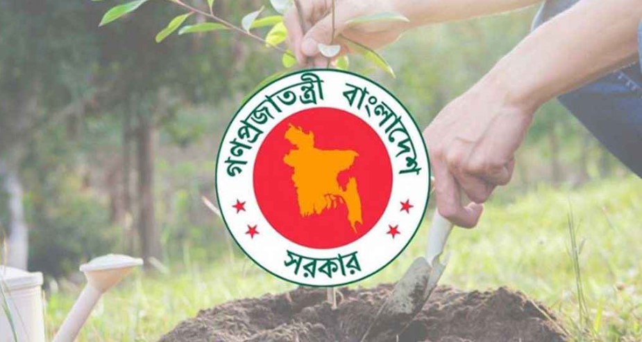 ৬ মাসে ২ কোটির বেশি গাছ রোপণ করেছে সরকার    