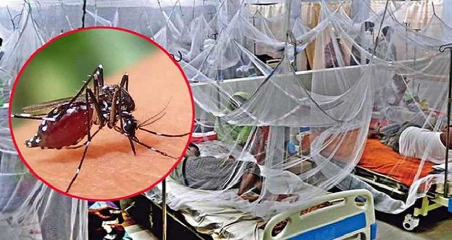 ডেঙ্গুতে আরও পাঁচজনের প্রাণহানি