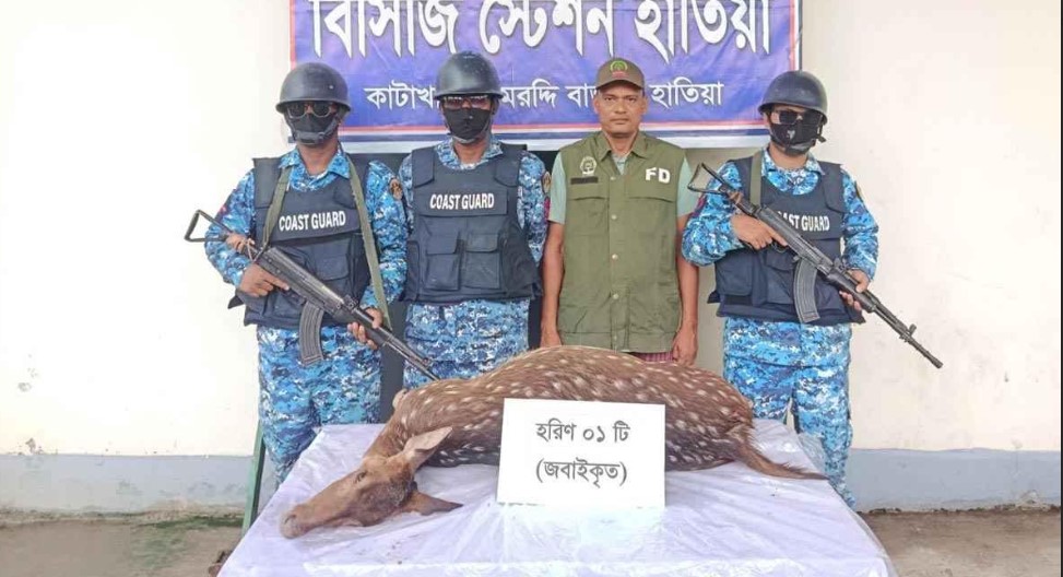 নোয়াখালীর হাতিয়ায় জবাইকৃত হরিণ উদ্ধার