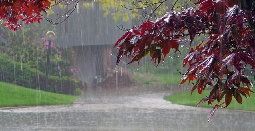 দুপুরের মধ্যে রাজধানীতে বজ্রসহ বৃষ্টির আভাস