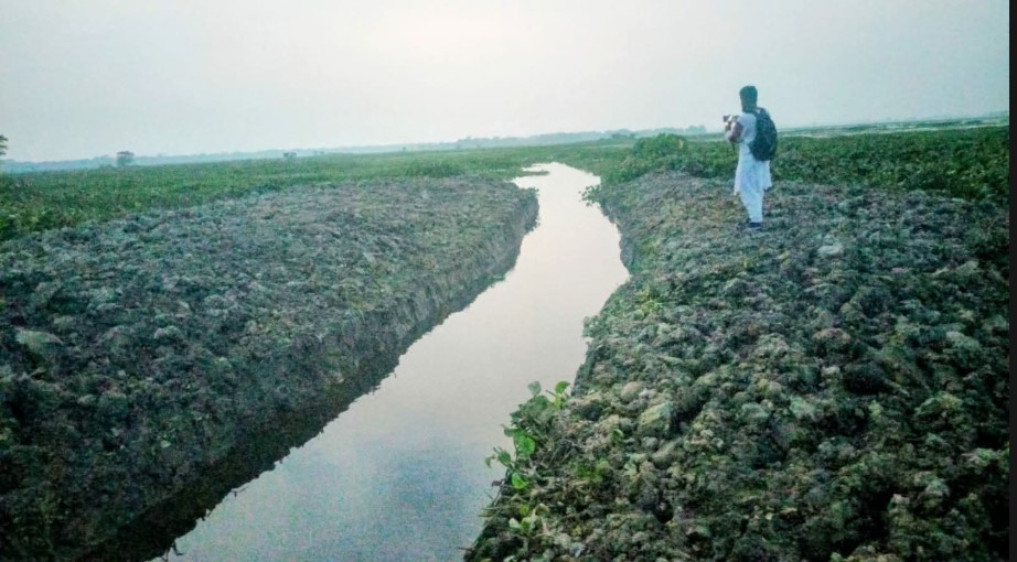 কেন্দুয়ার জালিয়ার হাওরের বাঁধ কেটে ফেলায় মাছ বেরিয়ে গিয়ে অর্ধ্বকোটি টাকার ক্ষতির অভিযোগ