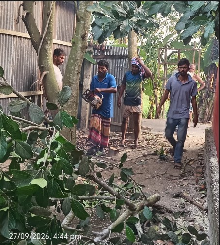 সংগৃহীত ছবি।