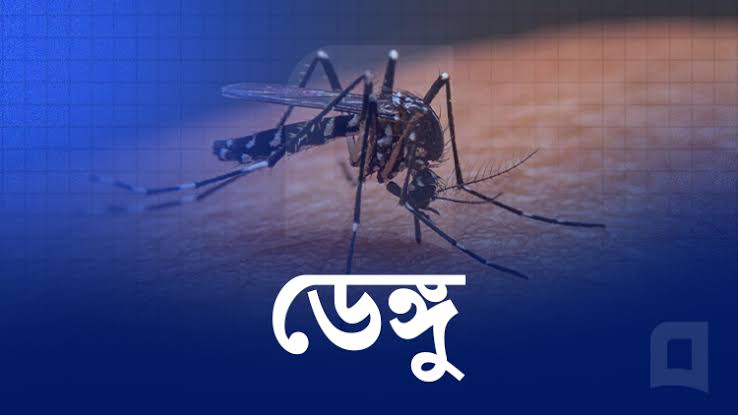 এক মাসে ১৫২ জনের প্রাণ কেড়ে নিল ডেঙ্গু