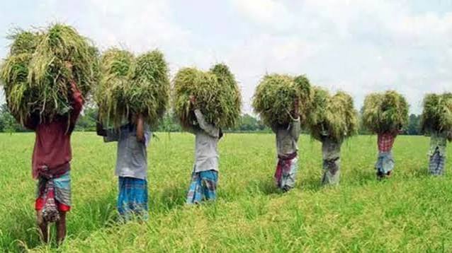 জাতীয় উৎপাদনশীলতা দিবস আজ