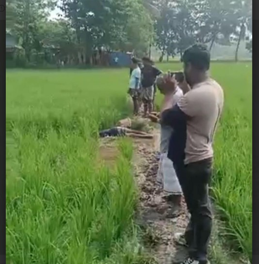 নোয়াখালীর সেনবাগে ইঁদুর মারার বৈদ্যুতিক ফাঁদে প্রাণ গেল কৃষকের