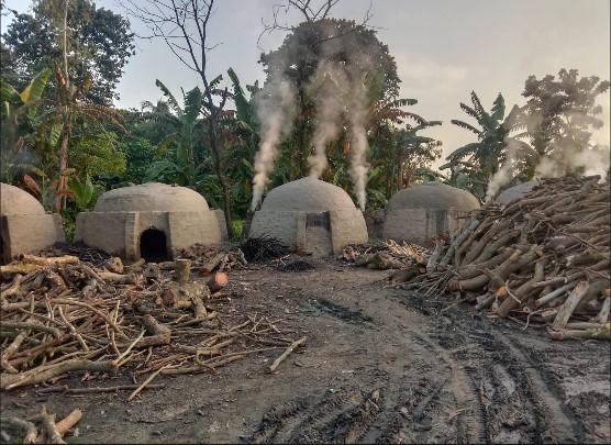 গোবিন্দগঞ্জে প্রশাসনকে বৃদ্ধাঙ্গুল দেখিয়ে চলছে কাঠ পুড়িয়ে অবৈধ কয়লা কারখানা, এলাকাবাসির ক্ষোভ 