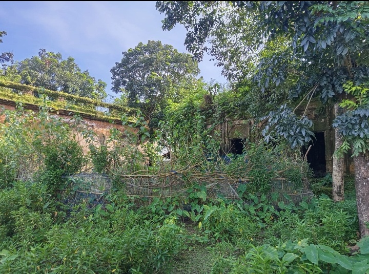লোকসাহিত্যের বিবিধ সংস্কৃতি