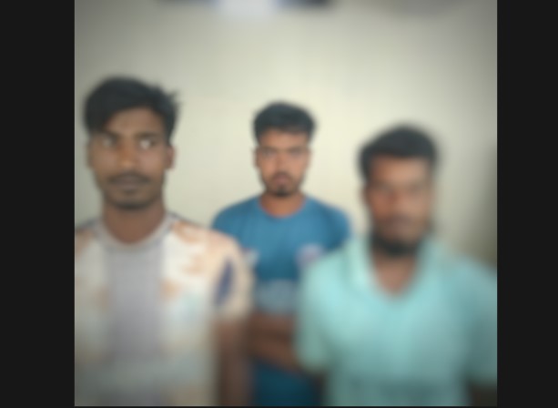 কেন্দুয়ায় প্রেমের ফাঁদে ফেলে তরুনীকে গণধর্ষণের অভিযোগে আটক ৩