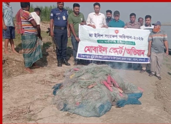 পাংশায় মা ইলিশ রক্ষার অভিযানে ২ জনের কারাদণ্ড, ৪০ হাজার মিটার কারেন্ট জাল ধ্বংস