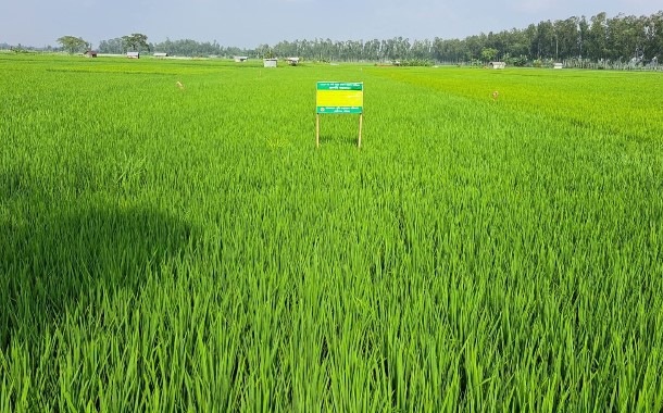 কৃষকের স্বপ্ন আজ বোবা কান্না