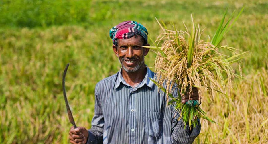 কৃষিঋণ মওকুফে স্বস্তিতে ১৪ লাখ কৃষক, চাঙা হচ্ছে গ্রামীণ অর্থনীতি