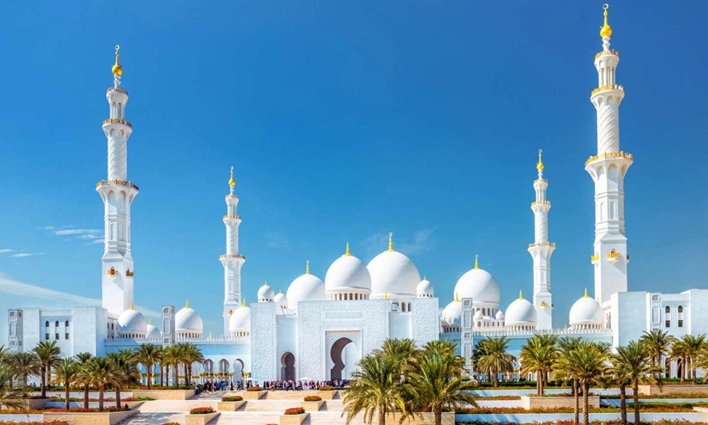 ফাইল ছবি।