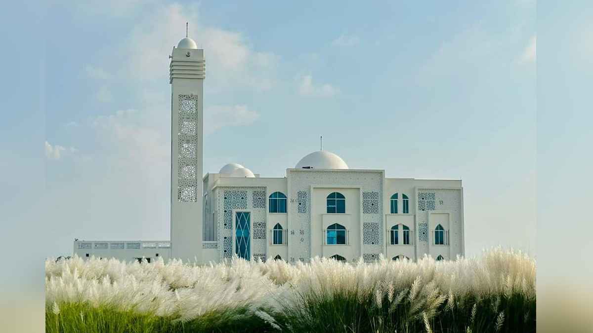 ফাইল ছবি