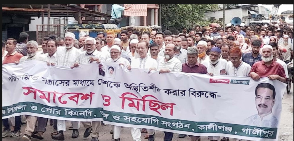 বাংলাদেশের সাধারণ মানুষ কোনো ধরনের অরাজকতা, সহিংসতা ও নাশকতা চায় না: এমপি ফজলুল হক মিলন